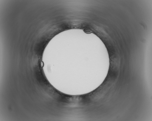 X0000112830225200910021229