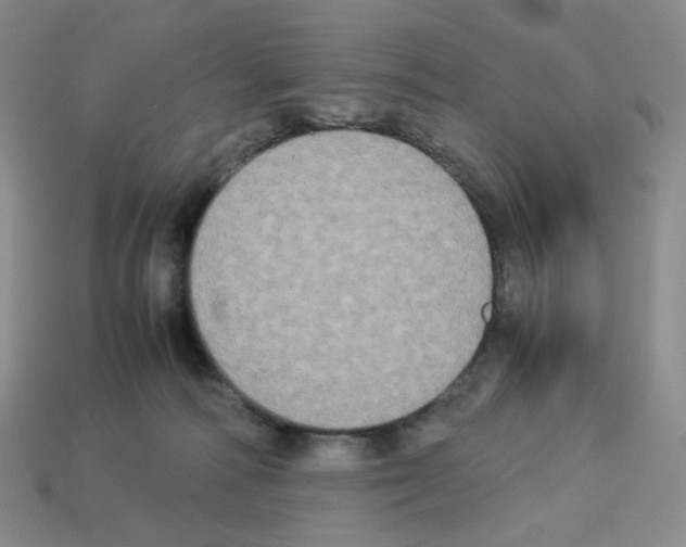 X0000112830226200910021229