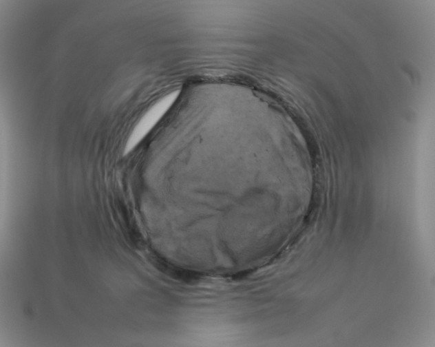 X0000112830227200910021229