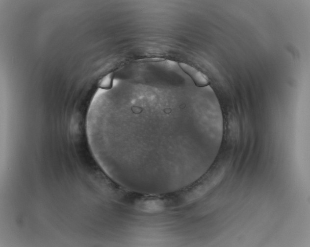 X0000112830228200910021229