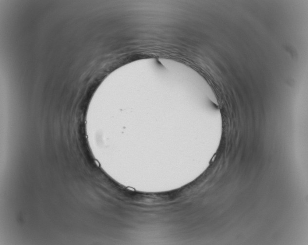 X0000112830229200910021229