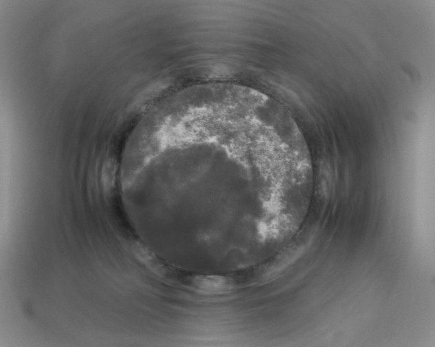 X0000112830230200910021229