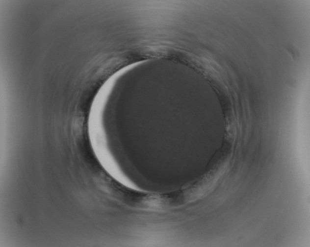 X0000112830231200910021229