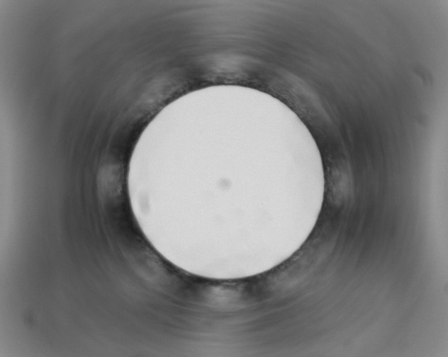 X0000112830232200910021229