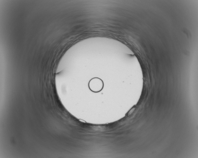 X0000112830233200910021229