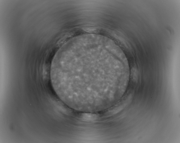 X0000112830234200910021229