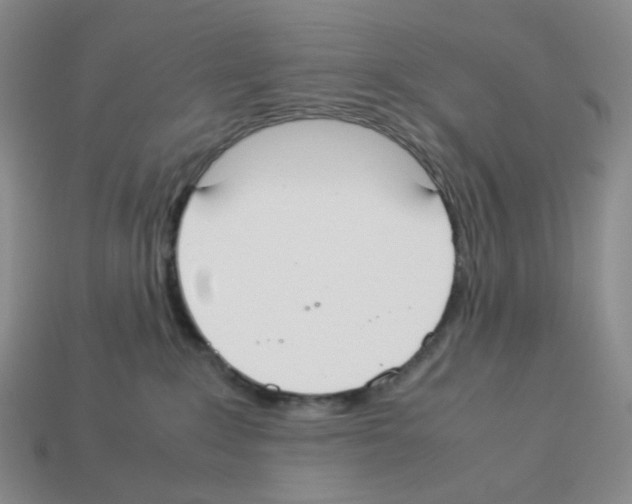 X0000112830235200910021229