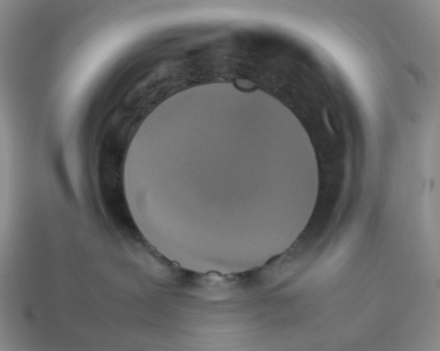 X0000112830239200910021229