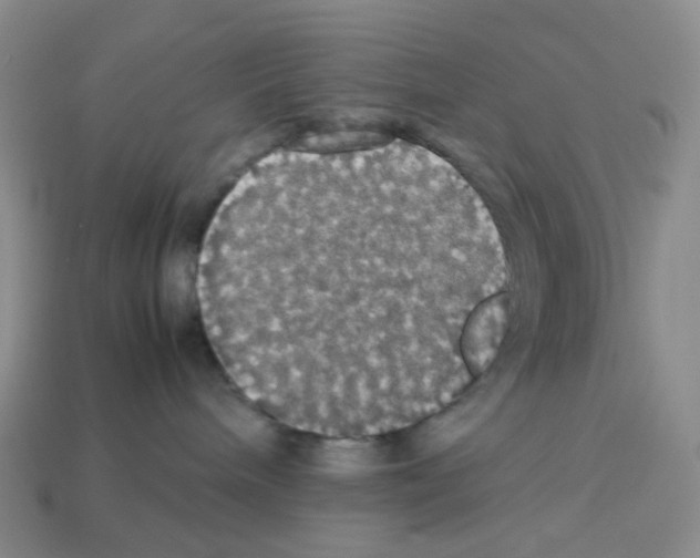 X0000112830240200910021229