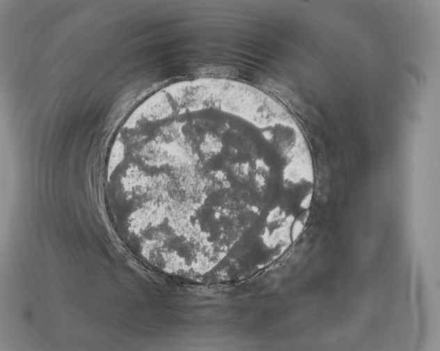 X0000112830241200910021228