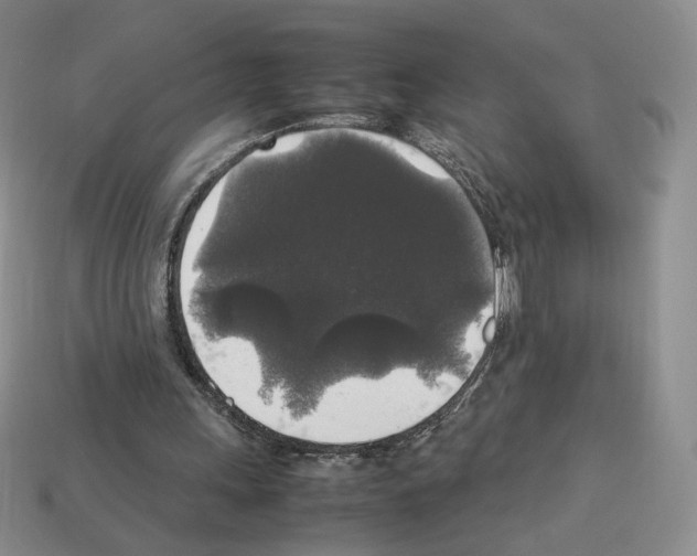 X0000112830243200910021228