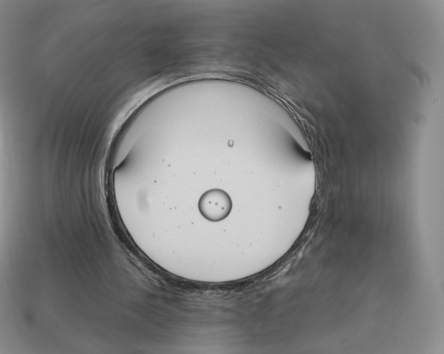 X0000112830244200910021228