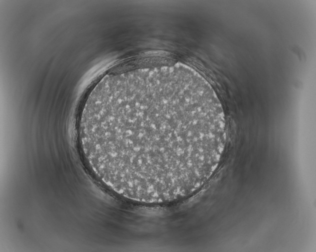 X0000112830245200910021228