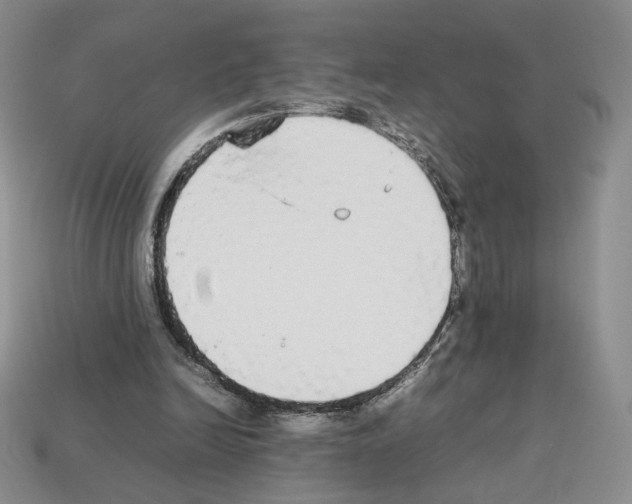 X0000112830246200910021228