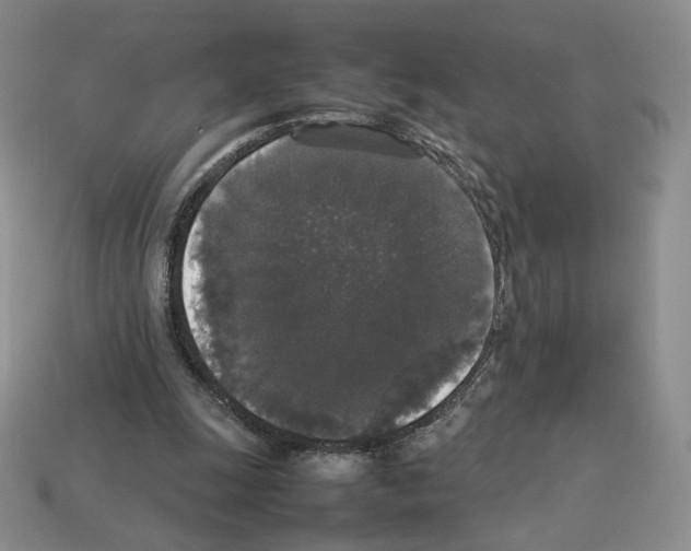 X0000112830247200910021228