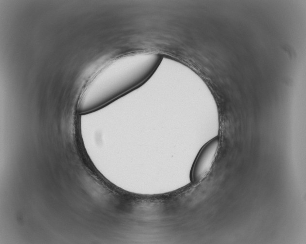 X0000112830248200910021228