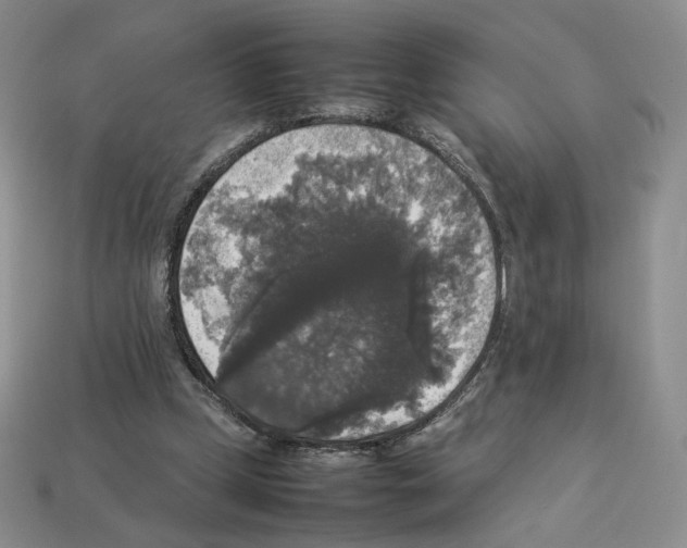 X0000112830249200910021228