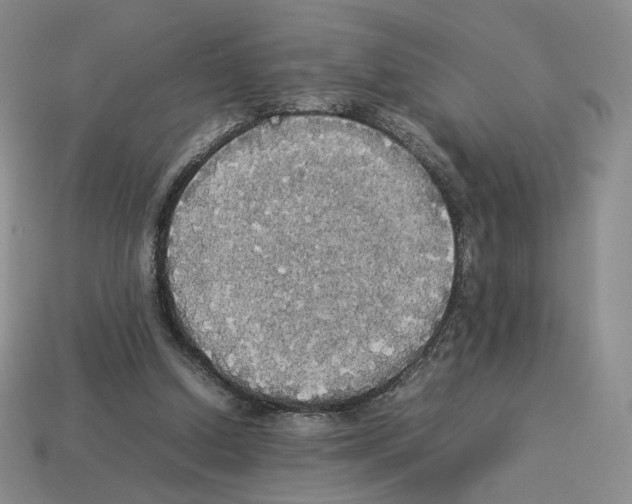 X0000112830250200910021228