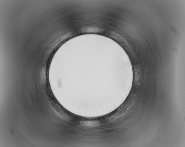 X0000112830251200910021228