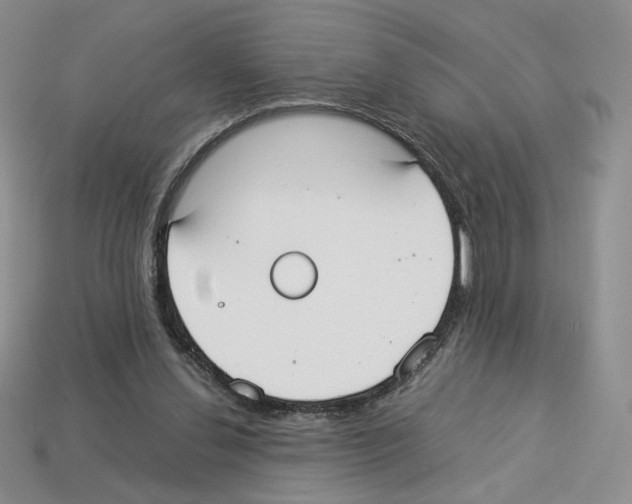 X0000112830252200910021228