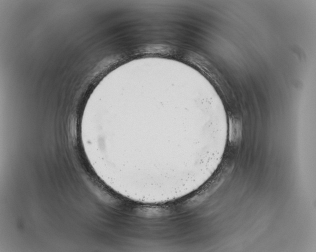 X0000112830253200910021228