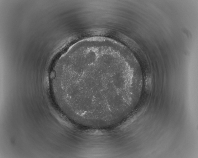 X0000112830254200910021228