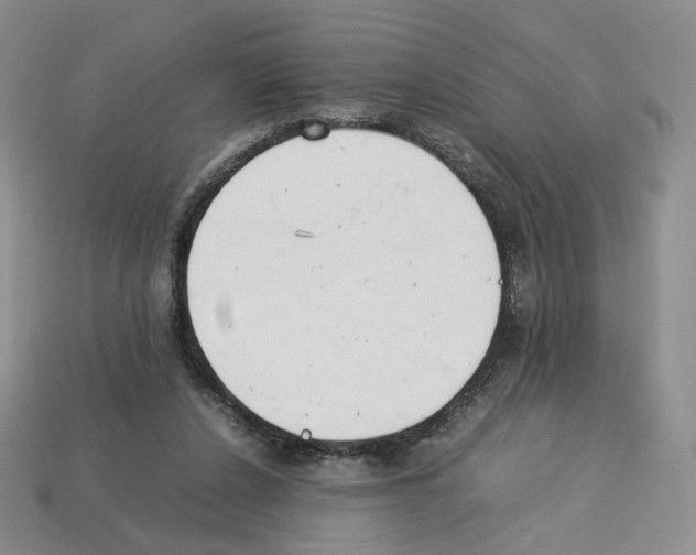 X0000112830256200910021228