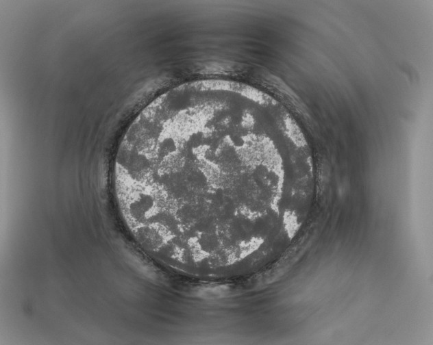 X0000112830257200910021228