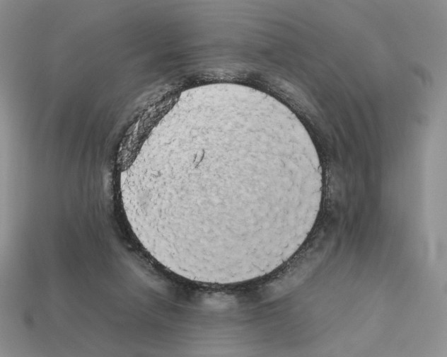 X0000112830258200910021229