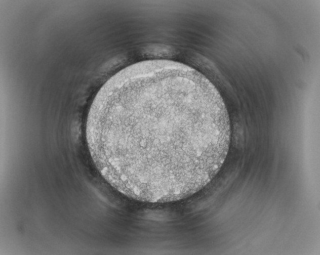 X0000112830259200910021229