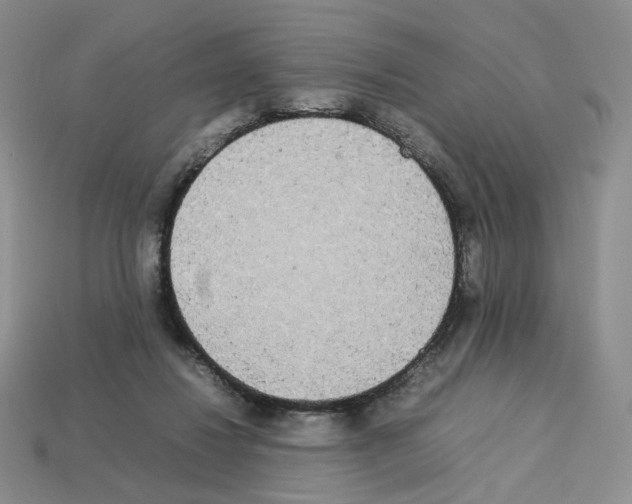 X0000112830260200910021229