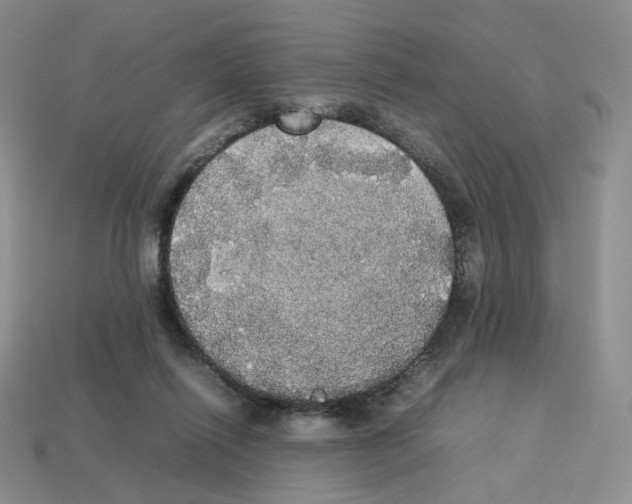 X0000112830262200910021229