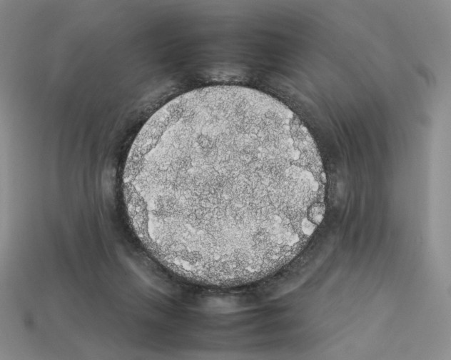 X0000112830263200910021229