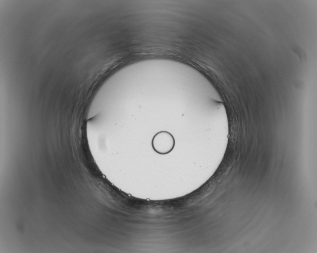 X0000112830264200910021229