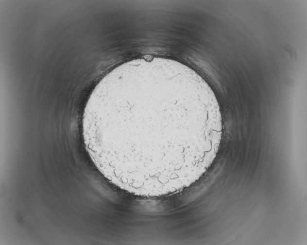 X0000112830265200910021229