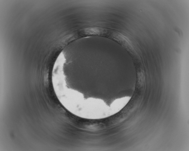 X0000112830267200910021229