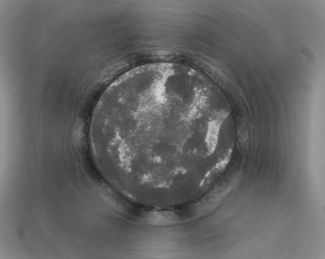 X0000112830270200910021229