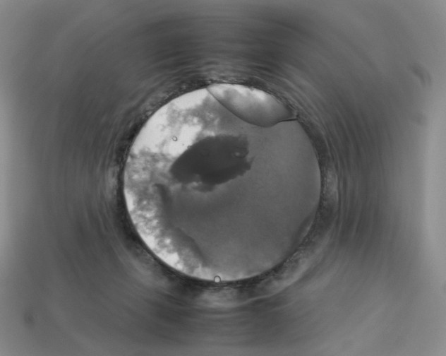 X0000112830271200910021229