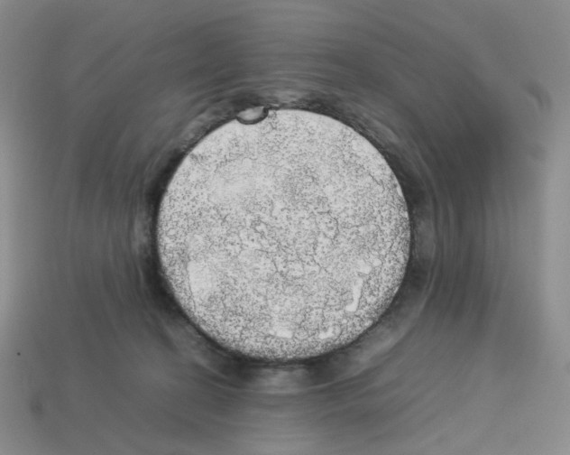 X0000112830274200910021229