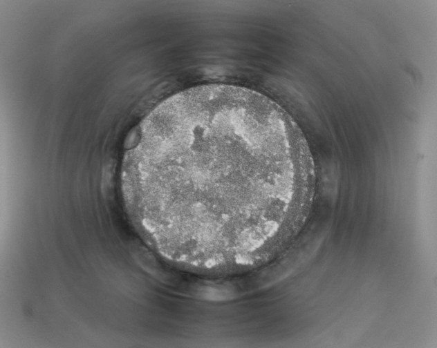 X0000112830275200910021229