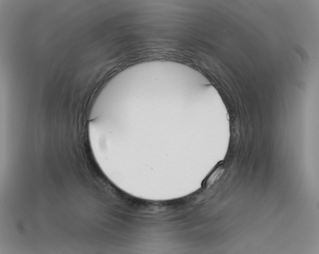 X0000112830276200910021229