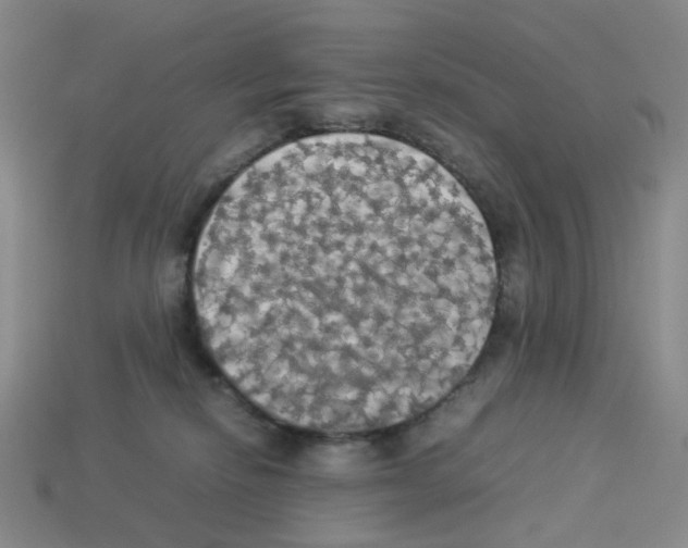 X0000112830278200910021229