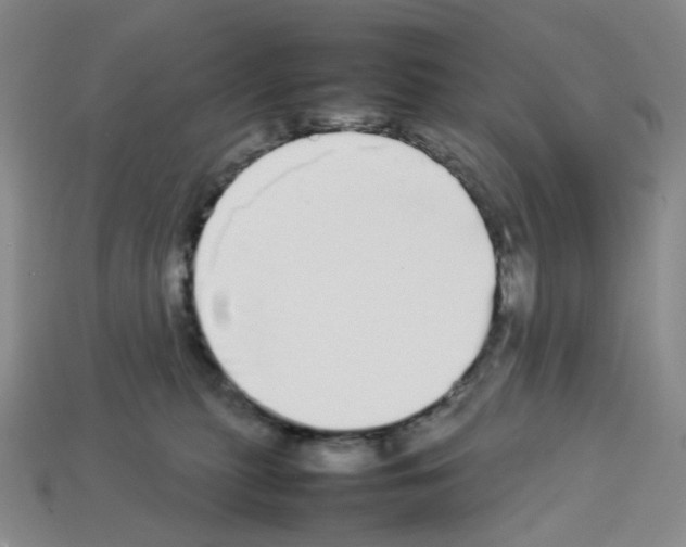 X0000112830279200910021229