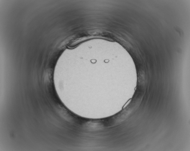 X0000112830280200910021229