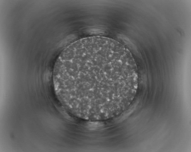 X0000112830281200910021229