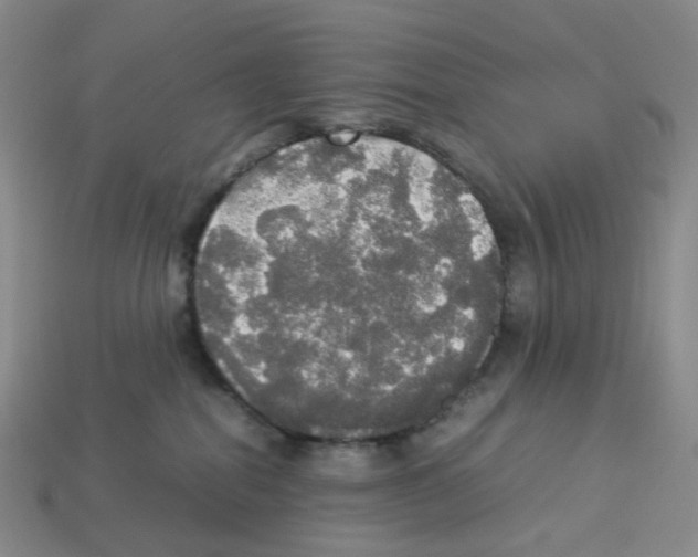 X0000112830282200910021229