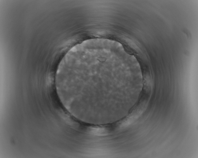 X0000112830284200910021229