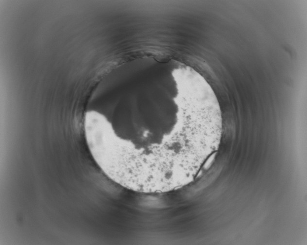 X0000112830285200910021229