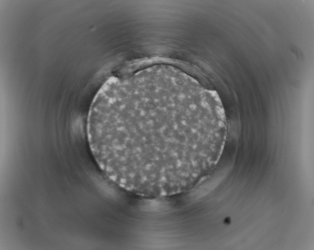 X0000112830286200910021229