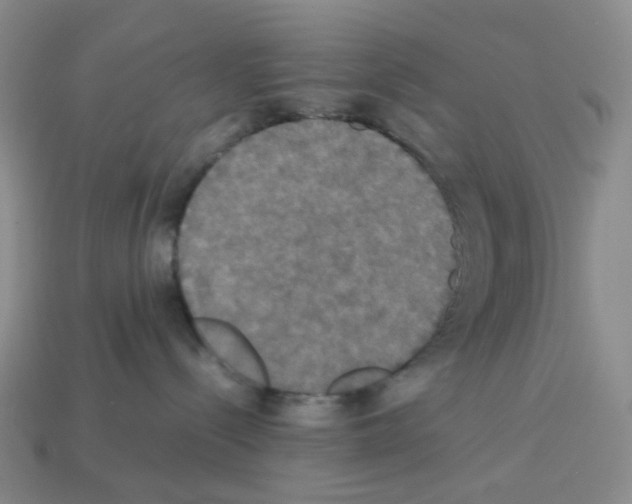 X0000112830288200910021229